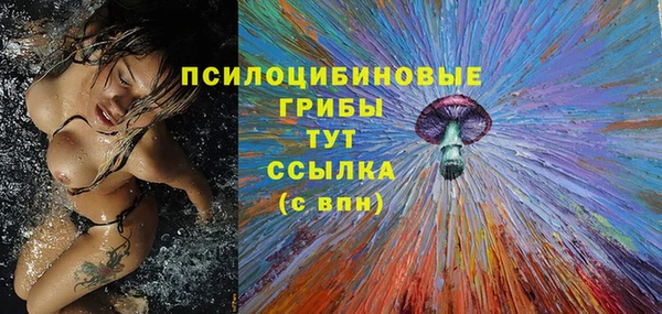 амф Богородицк
