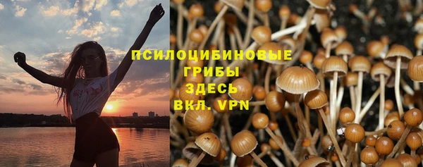 амф Богородицк